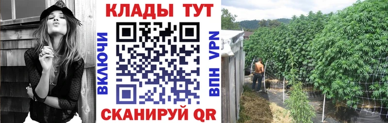 Купить Канабис Кокаин Гашиш Лсд 25 Меф мяу мяу Сураж