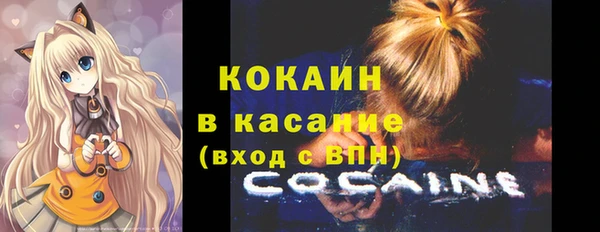 шишки Балахна