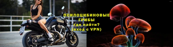 крисы Баксан