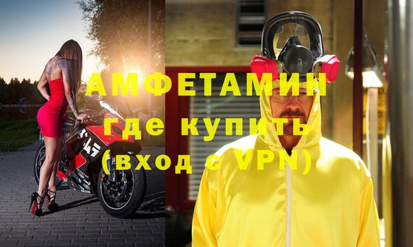 шишки Балахна