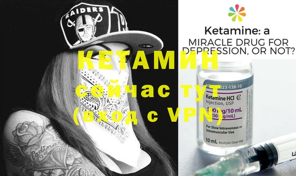 крисы Баксан
