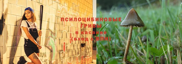 крисы Баксан