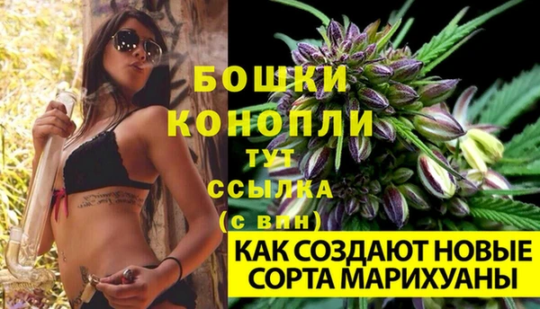 шишки Балахна