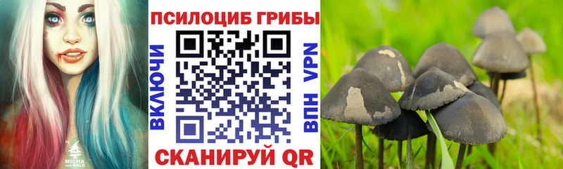 Купить закладки Сураж Галлюциногенные грибы ЛСД