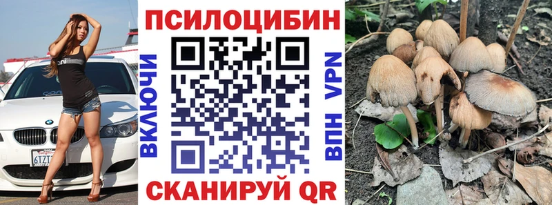 Псилоцибиновые грибы Magic Shrooms Сураж