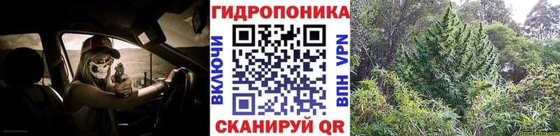 Купить закладки  Сураж  МАРИХУАНА ГИДРОПОН 